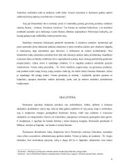 Renesanso kultūros raida 6 puslapis