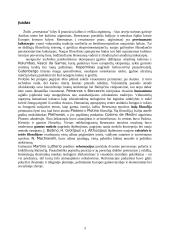 Renesanso pagrindinės idėjos ir jų vaidmuo istorijai 3 puslapis