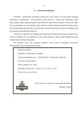 Ryšių su žiniasklaida organizavimas: AB "Švyturys-Utenos alus" 12 puslapis