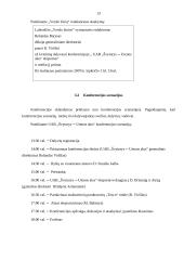 Ryšių su žiniasklaida organizavimas: AB "Švyturys-Utenos alus" 13 puslapis