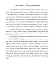 Ryšių su žiniasklaida organizavimas: AB "Švyturys-Utenos alus" 20 puslapis