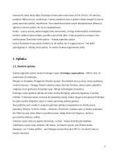 Salantų regioninis ir dvaro parkai 3 puslapis