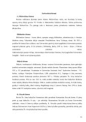 Senojo Vilniaus įžymybės 13 puslapis