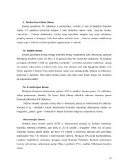 Senojo Vilniaus įžymybės 14 puslapis