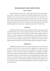 Senojo Vilniaus įžymybės 4 puslapis