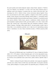 Senojo Vilniaus įžymybės 8 puslapis