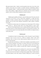 Senojo Vilniaus įžymybės 9 puslapis