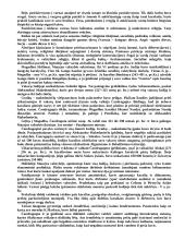 Viskas apie Senovės Indiją 5 puslapis