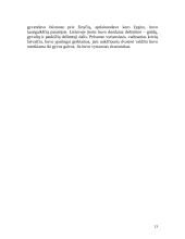 Senovės lietuvių religija ir mitologija 13 puslapis