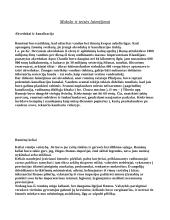 Senovės Roma imperijos laikotarpiu 8 puslapis