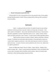 Spalvos drabužiuose ir mūsų gyvenime 2 puslapis