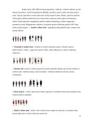 Spalvos drabužiuose ir mūsų gyvenime 13 puslapis