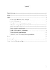 Spalvos drabužiuose ir mūsų gyvenime 3 puslapis