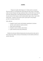 Spalvos drabužiuose ir mūsų gyvenime 4 puslapis