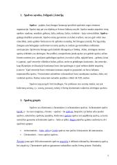 Spalvos drabužiuose ir mūsų gyvenime 5 puslapis