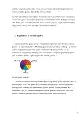 Spalvos drabužiuose ir mūsų gyvenime 6 puslapis