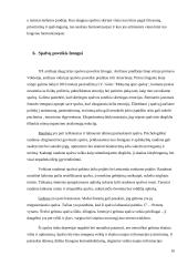 Spalvos drabužiuose ir mūsų gyvenime 10 puslapis