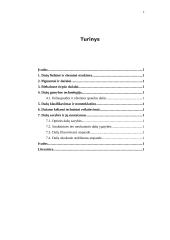 Spaudos dažai 2 puslapis