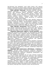 Spaudos dažai 13 puslapis