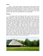 Stogo konstrukcijos ir danga Vilniuje 2 puslapis