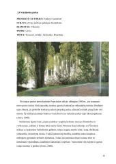 Šiuolaikiniai parkai 15 puslapis