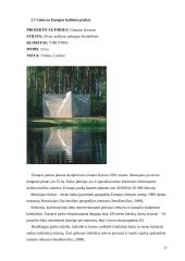 Šiuolaikiniai parkai 17 puslapis