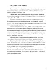 Šiuolaikiniai parkai 4 puslapis