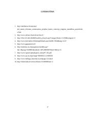 Šiuolaikinių geodezinių instrumentų gausa ir taikymas individualiose įmonėse, uždarose akcinėse bendrovėse 17 puslapis