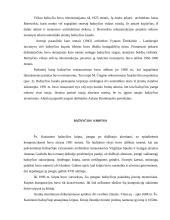 Šv. Kazimiero bažnyčia 5 puslapis