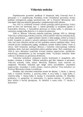 Švietimas ir mokslas tarpukario metu 4 puslapis