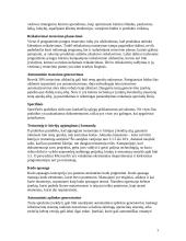 Testavimo strategija 7 puslapis
