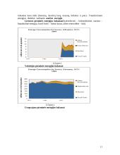 Trijų šalių energetinių sistemų efektyvumo palyginimas: Lietuva, Vokietija, Urugvajus 11 puslapis