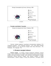 Trijų šalių energetinių sistemų efektyvumo palyginimas: Lietuva, Vokietija, Urugvajus 10 puslapis