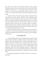 Uolienų amžiaus nustatymas 2 puslapis