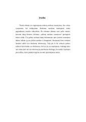 Uolienų amžiaus nustatymas 7 puslapis