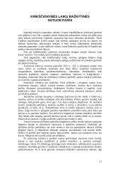 Vestuviniai papročiai 11 puslapis