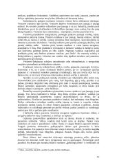 Vestuviniai papročiai 12 puslapis