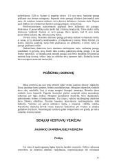 Vestuviniai papročiai 17 puslapis