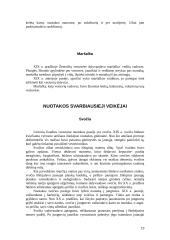 Vestuviniai papročiai 19 puslapis