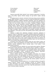Vestuviniai papročiai 5 puslapis