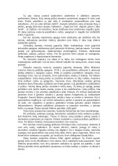 Vestuviniai papročiai 8 puslapis