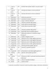 Mokyklos dabarties ir jos vizijos apibūdinimas: Panevėžio Vytauto Žemkalnio gimnazija 8 puslapis