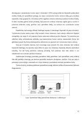 Uždavinių sprendimo (mąstymo) ypatumų tyrimas 10 puslapis