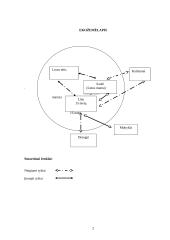 Į problemą orientuota priešinimosi strategija 2 puslapis