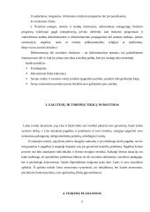 Į problemą orientuota priešinimosi strategija 5 puslapis