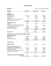 Įmonės AB "Ekranas" analizė 3 puslapis