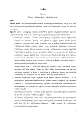 Įmonių balansų palyginimas 2 puslapis