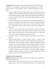 Įmonių balansų palyginimas 3 puslapis