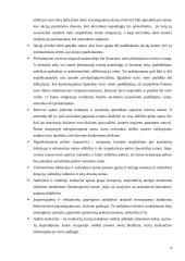 Įmonių balansų palyginimas 4 puslapis