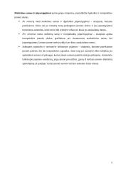 Įmonių balansų palyginimas 5 puslapis